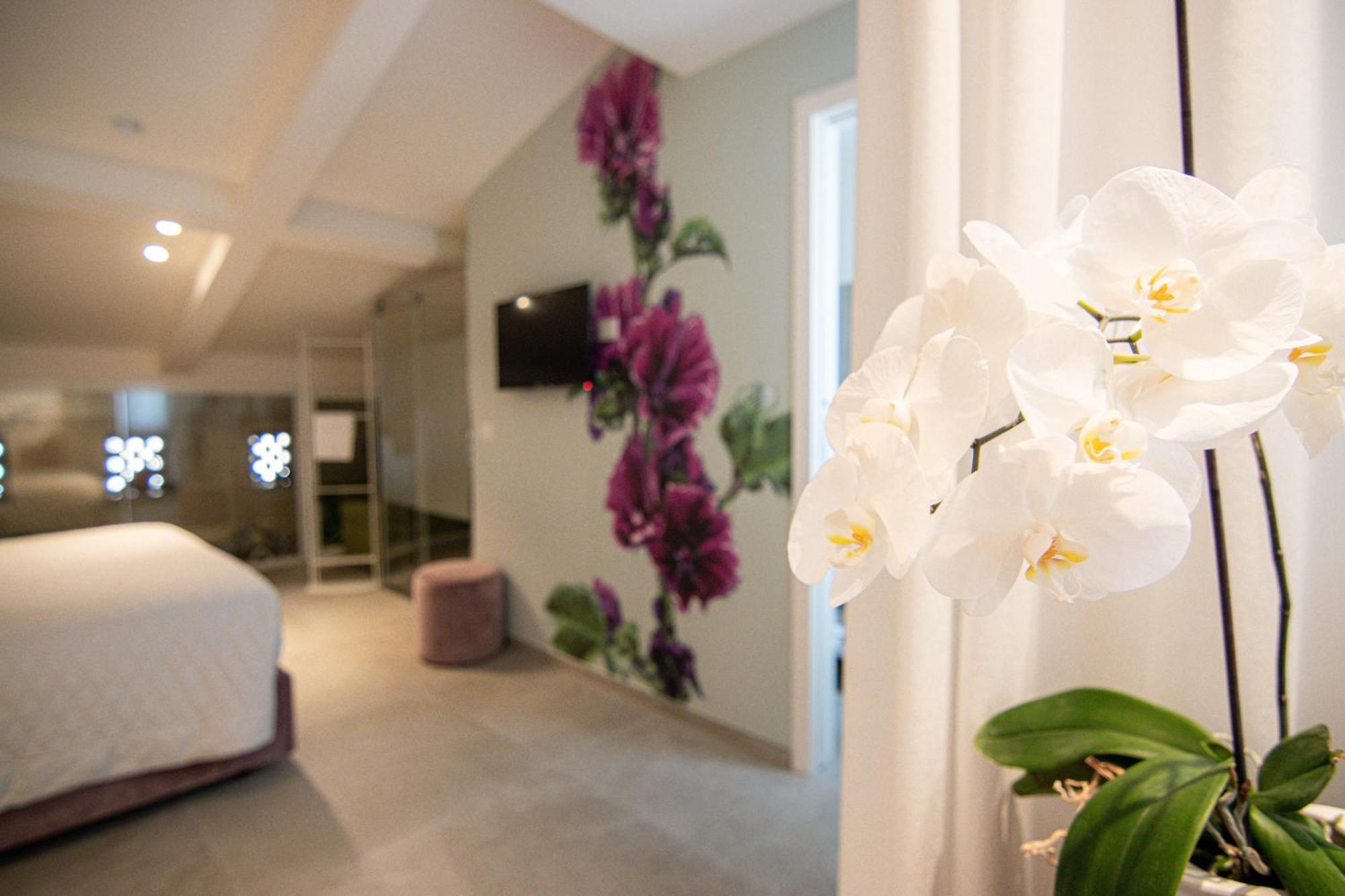 Profumi Di Primavera Luxury Rooms & Suite Matera Ngoại thất bức ảnh